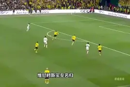 多特蒙德成功零封维尼修斯，门将赛后获得全场最佳的简单介绍